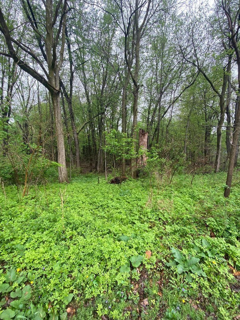Lot 3 Rivercrest Drive Warsaw IN 46580