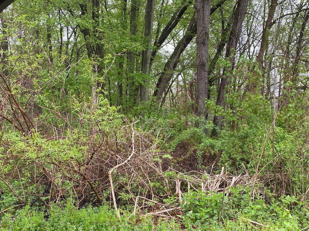 Lot 3 Rivercrest Drive Warsaw IN 46580