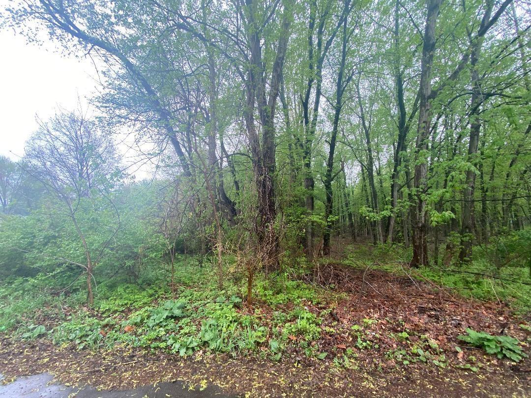 Lot 2 Rivercrest Drive Warsaw IN 46580