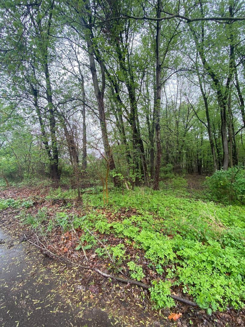 Lot 2 Rivercrest Drive Warsaw IN 46580
