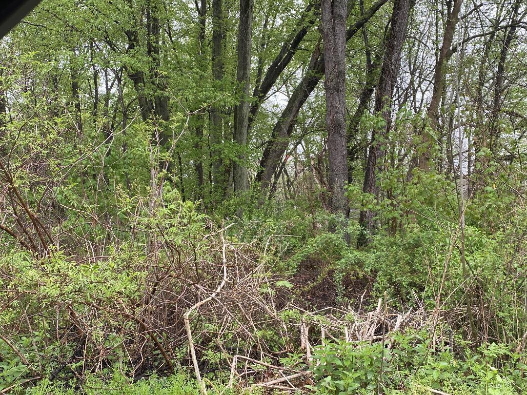 Lot 2 Rivercrest Drive Warsaw IN 46580