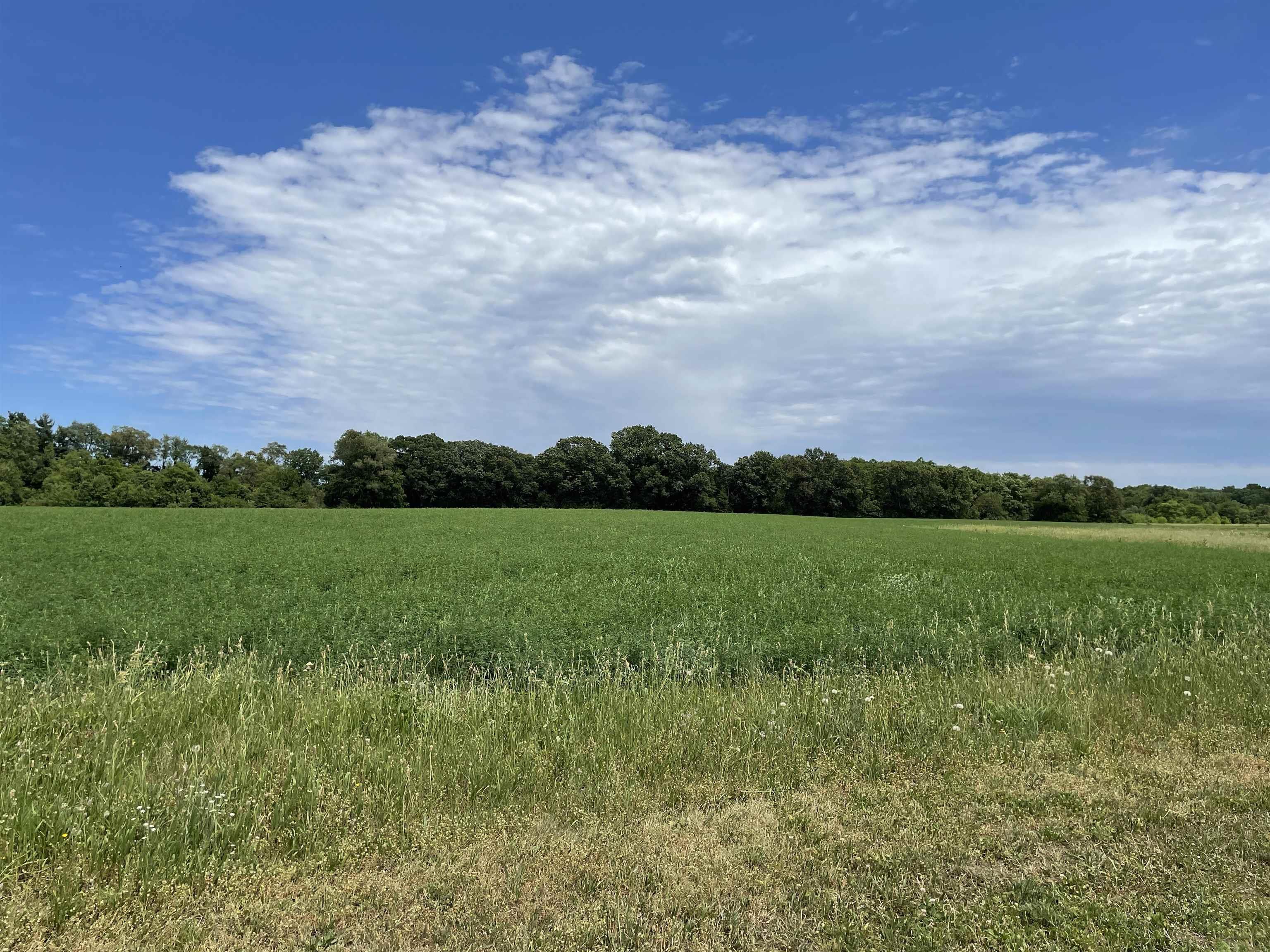 Lot 8 Parkway Avenue Elkhart IN 46516